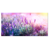 Growing and Blooming Lavender Wall Art