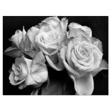 Bunch of Roses Black and White Wall Art