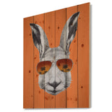 Funny Rabbit with Sunglasses - Animal Print on Natural Pine Wood - 15x20