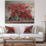Big Red Tree on Foggy Day - Landscape Print on Natural Pine Wood - 20x15