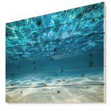 Ocean Bottom Beneath the Surface - Sea & Shore Print on Natural Pine Wood - 20x15