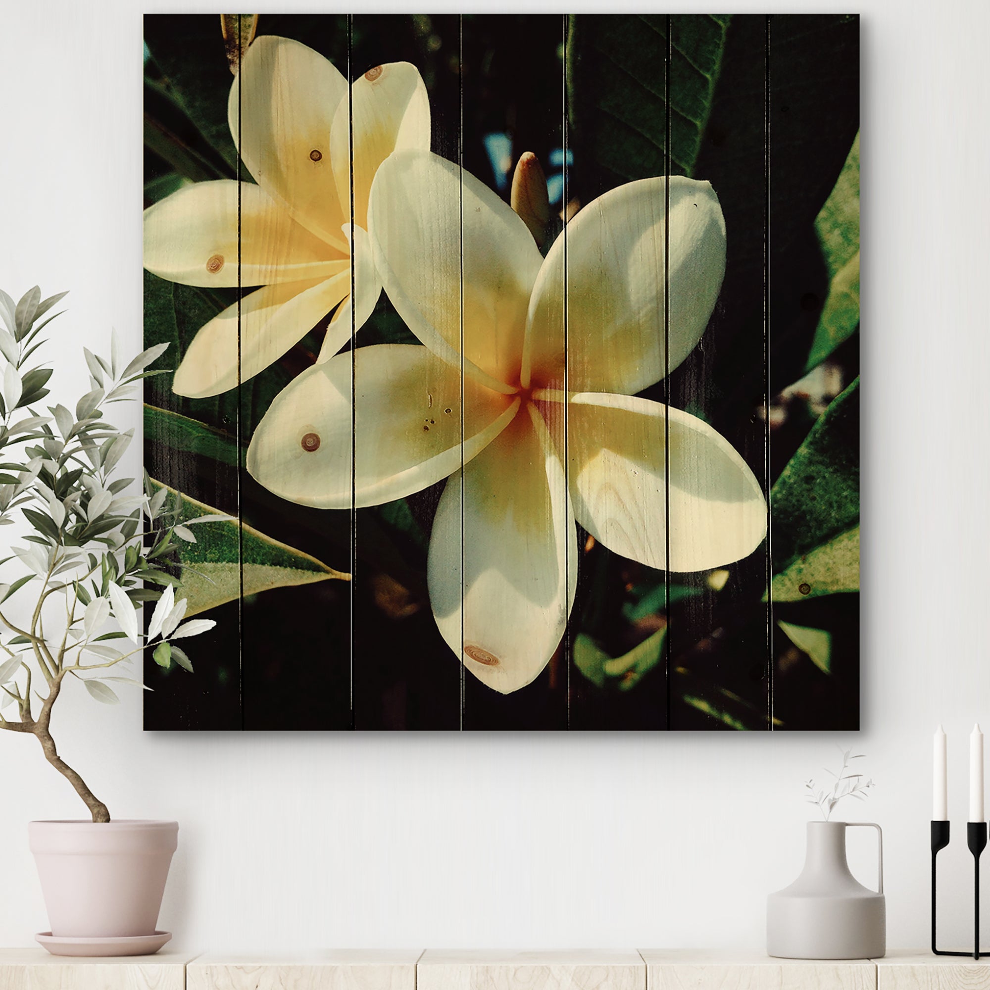 Hawaian Frangipani Tropical Flower - Traditional Print on Natural Pine Wood