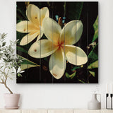 Hawaian Frangipani Tropical Flower - Traditional Print on Natural Pine Wood