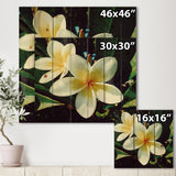 Hawaian Frangipani Tropical Flower - Traditional Print on Natural Pine Wood