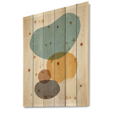 Minimal Elementary Organic And Geometric Compostions XVII - Modern Print on Natural Pine Wood