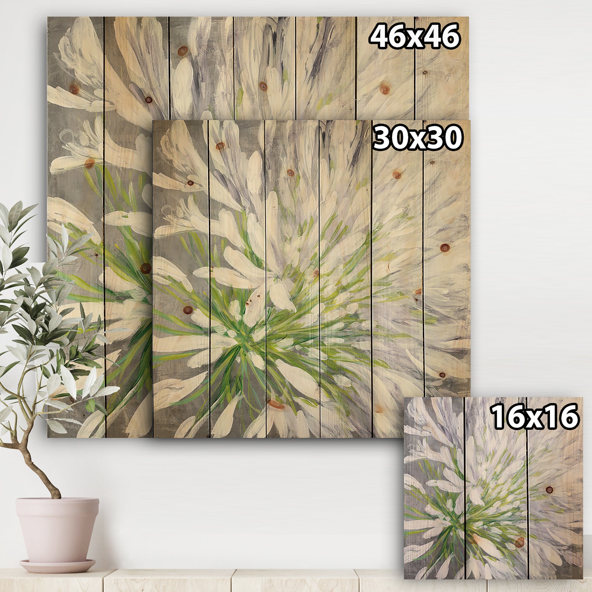 Flower Cleome Splash II - Traditional Floral Print on Natural Pine Wood - 16x16