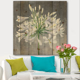 Flower Cleome Splash I - Traditional Floral Print on Natural Pine Wood - 16x16