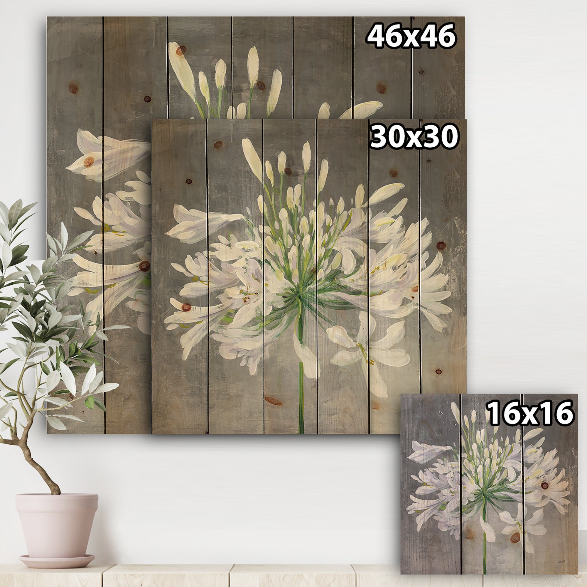 Flower Cleome Splash I - Traditional Floral Print on Natural Pine Wood - 16x16