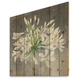 Flower Cleome Splash I - Traditional Floral Print on Natural Pine Wood - 16x16