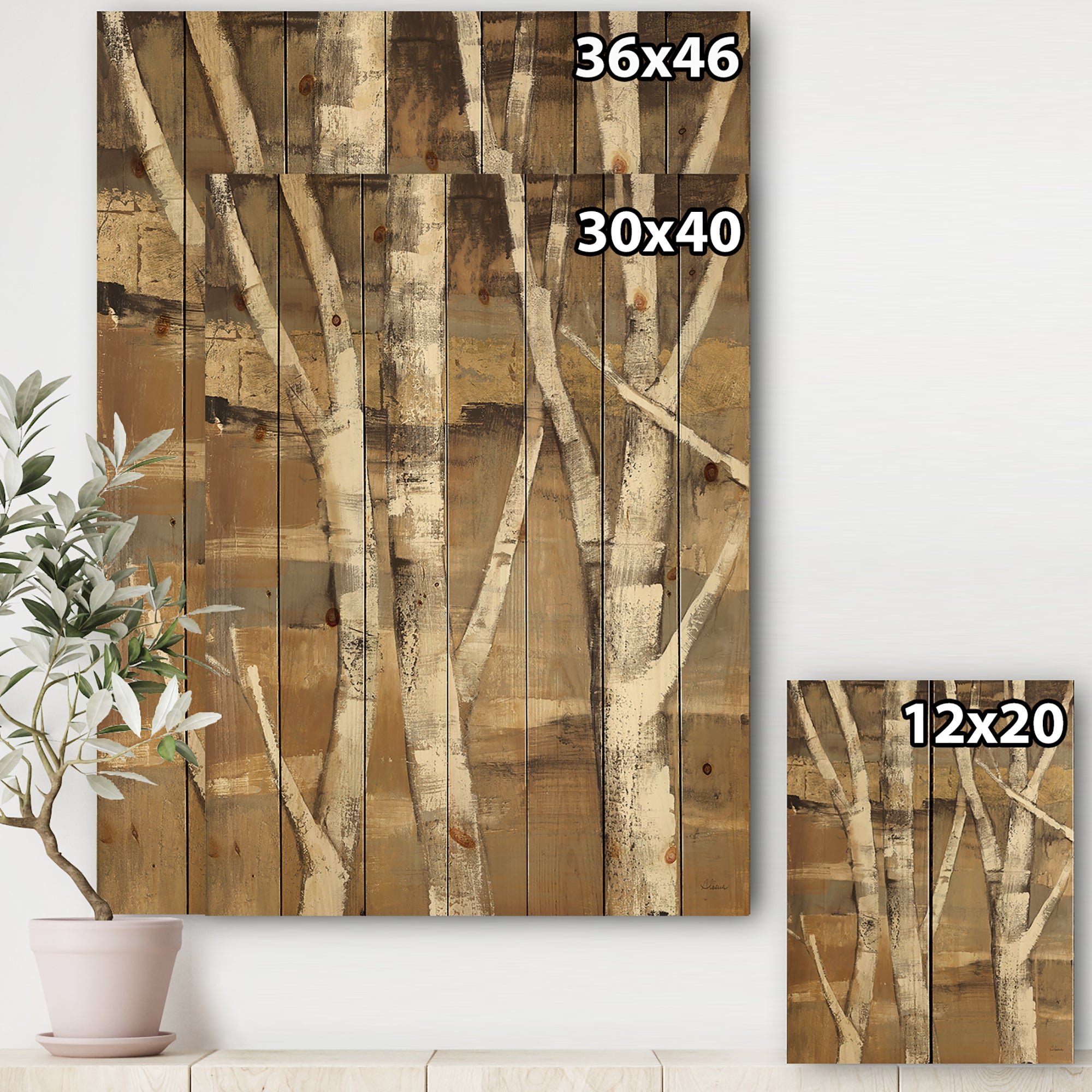 Natural Birch Forest II - Traditional Print on Natural Pine Wood - 15x20