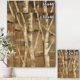 Natural Birch Forest II - Traditional Print on Natural Pine Wood - 15x20