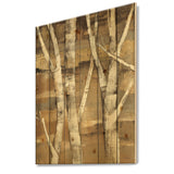 Natural Birch Forest II - Traditional Print on Natural Pine Wood - 15x20