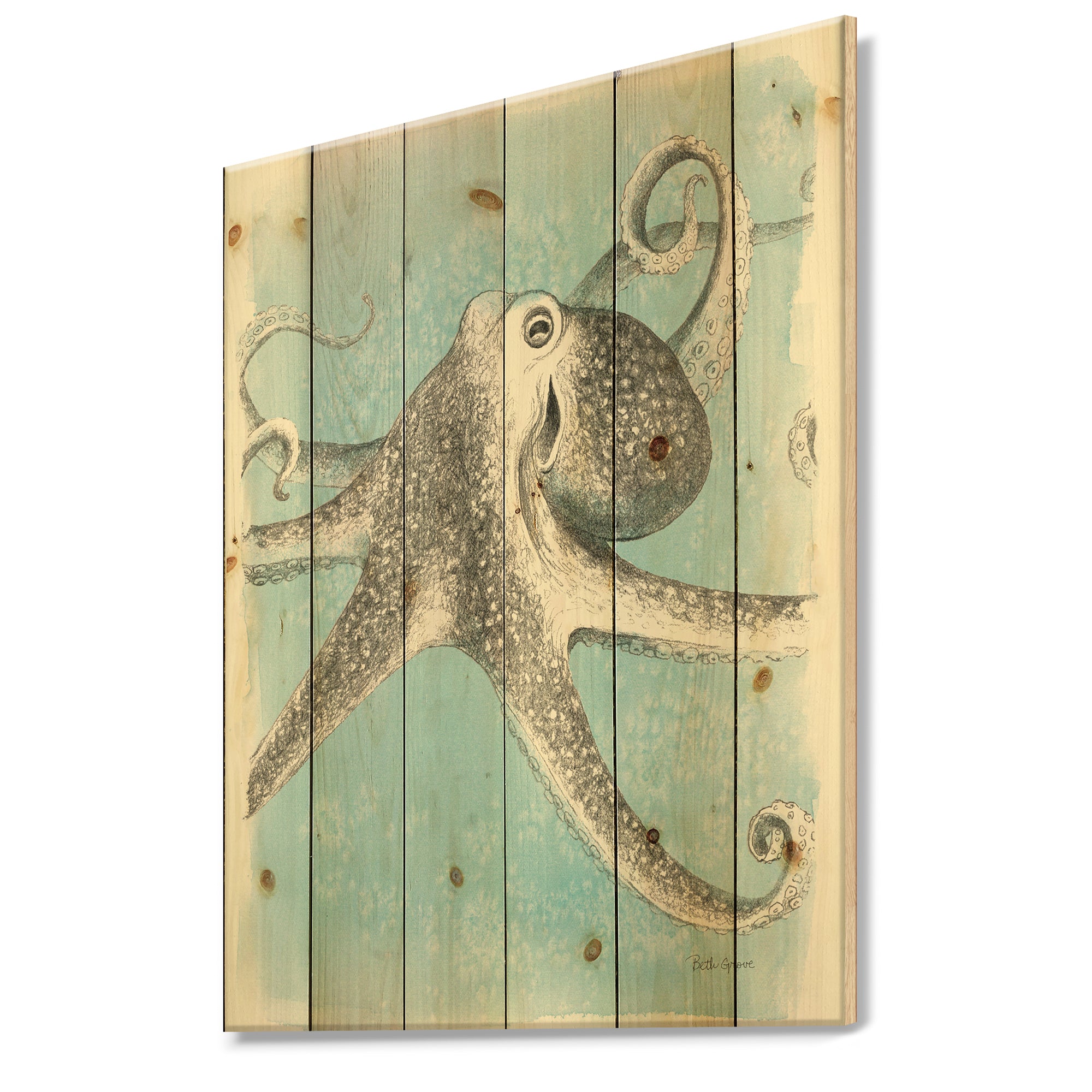 Coastal Sea Life II octopus sketches - Nautical & Coastal Print on Natural Pine Wood - 15x20