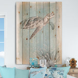 Coastal Sea Life I Turtle sketches - Nautical & Coastal Print on Natural Pine Wood - 15x20