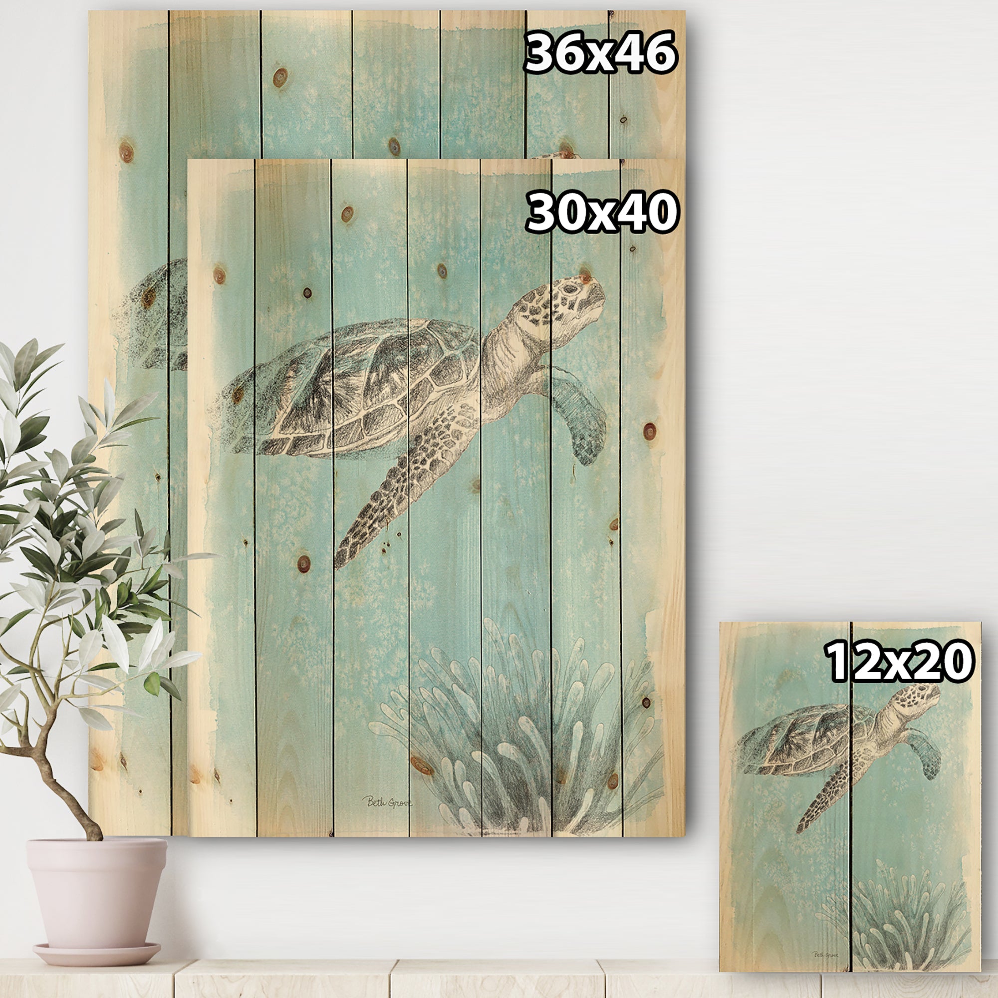 Coastal Sea Life I Turtle sketches - Nautical & Coastal Print on Natural Pine Wood - 15x20