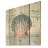 Ocean Shell on Blue  - Nautical & Coastal Print on Natural Pine Wood - 16x16