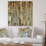 White Birch Forest II - Modern Farmhouse Print on Natural Pine Wood - 16x16
