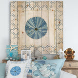 Blue Conch Shell On Blue Coastal Pattern  - Nautical & Coastal Print on Natural Pine Wood - 16x16