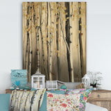 Golden Birch Forest IV - Cabin & Lodge Print on Natural Pine Wood - 15x20