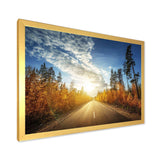 Road in Fall Forest Panorama