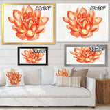 Vintage Detail of A Orange Lotus