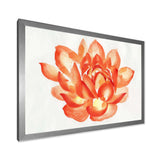 Vintage Detail of A Orange Lotus