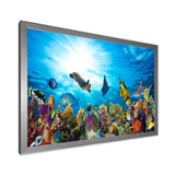 Colorful Coral Reef with Fishes