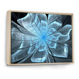 Light Blue Flower with Large Petals