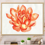 Vintage Detail of A Orange Lotus