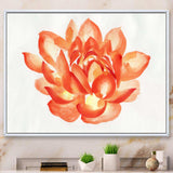 Vintage Detail of A Orange Lotus