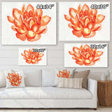 Vintage Detail of A Orange Lotus