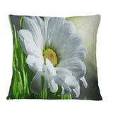 Single Beautiful Daisy Flower - Flower Throw Pillow