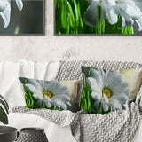 Single Beautiful Daisy Flower - Flower Throw Pillow