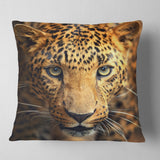 Leopard Face Close Up - Abstract Throw Pillow