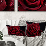 Red Rose with Raindrops on Black - Flowers Throw Pillowwork