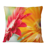 Red and Yellow Daisy Flower - Floral Throw Pillow
