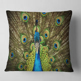 Grand Peacock - Animal Throw Pillow