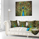 Grand Peacock - Animal Throw Pillow