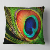 Peacock Feather - Photography Throw Pillow