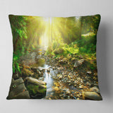 Mountain Stream in Forest - Landscape Photography Throw Pillow