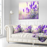 Purple Lavender Field - Floral Photography Throw Pillow