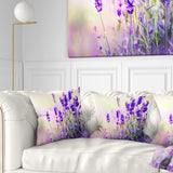 Purple Lavender Field - Floral Photography Throw Pillow