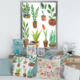 Eight Potted House Plants