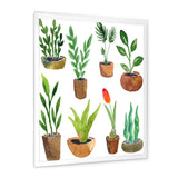 Eight Potted House Plants