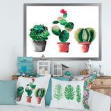 Three Cactus In Clay Pots