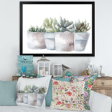 Cactus and Succulent House Plants III