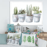 Cactus and Succulent House Plants V