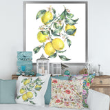 Branch of Yellow Lemons and Leaves I