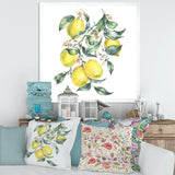 Branch of Yellow Lemons and Leaves I