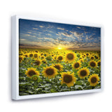 Field of Blooming Sunflowers Wall Art